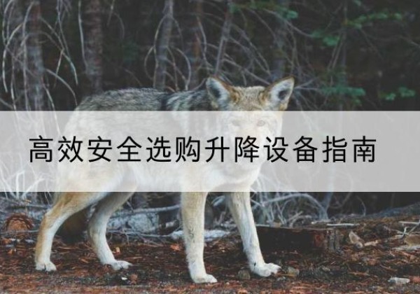 城北升降货梯厂家推荐-*安全选购升降设备指南