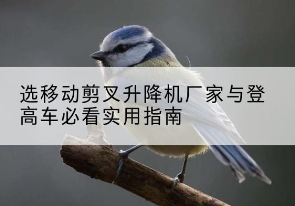 城北电动升降机厂家-选移动剪叉升降机厂家与登高车必看实用指南