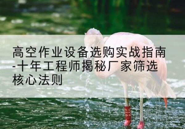 城北剪叉式升降机厂家-高空作业设备选购实战指南-十年工程师揭秘厂家筛选核心法则